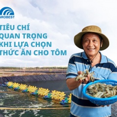 Tiêu chí quan trọng khi lựa thức ăn cho tôm