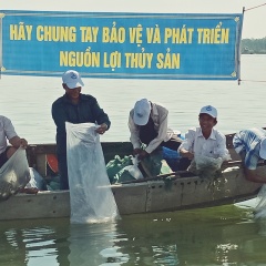 Luật Thủy sản: Chú trọng bảo vệ và phát triển nguồn lợi thủy sản