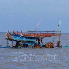 Hơn 18 tỉ đồng hỗ trợ tàu cá tham gia khai thác trên các vùng biển xa