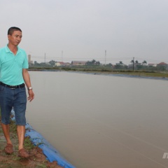 Lãi cao nhờ nuôi cá sạch