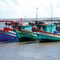 Phải bảo đảm sinh kế mới bảo vệ được nguồn lợi thuỷ sản
