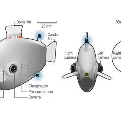 Cá robot - Phương tiện mới cho hoạt động cứu hộ trên biển