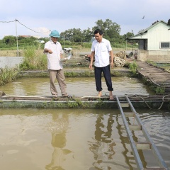 Phú Thọ đẩy mạnh nuôi trồng thủy sản