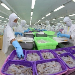 Việt Nam khẳng định cam kết thúc đẩy đàm phán của WTO về trợ cấp thủy sản