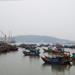 Thanh Hóa: Đẩy mạnh công tác bảo vệ nguồn lợi thủy sản vùng ven biển