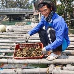 Những thanh niên làng biển năng động