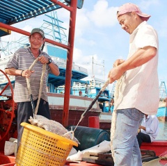 Ngăn chặn tàu cá đánh bắt vùng biển nước ngoài