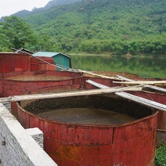 Thủy sản chết hàng loạt trên sông Mã: Liên tục phát hiện ống ngầm xả thải bẩn