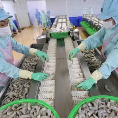 Dự báo xuất khẩu thủy sản tháng 4 năm 2021 đạt 2,32 tỷ USD