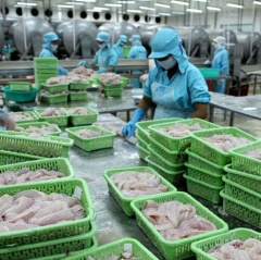 Xuất khẩu thủy sản Việt Nam ồ ạt sang thị trường Nga - Mỹ