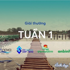 Ảnh Đẹp Thủy Sản: Quà tặng tuần 1