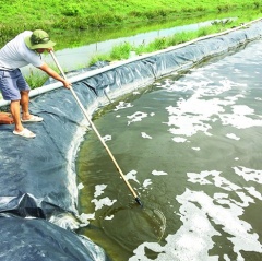 Giải pháp bảo vệ thủy sản trong mùa nắng nóng