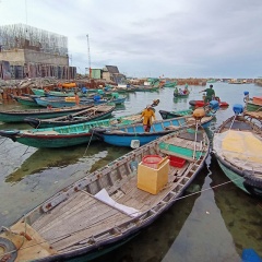 “Sống theo chiều gió”