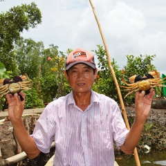 Tiềm năng nuôi biển tại ĐBSCL