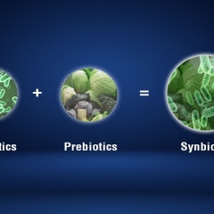 Tóm lại, synbiotics là probiotics và prebiotics?