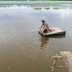 Giãn cách nơi vuông tôm, đồng ruộng