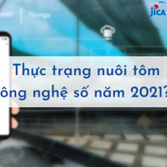 Khảo sát thực trạng nuôi tôm công nghệ số năm 2021