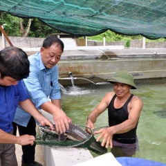 Mở hướng làm giàu từ nuôi cá tầm kết hợp du lịch trải nghiệm