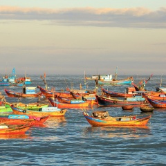 Kiên Giang mở đợt cao điểm kiểm tra hoạt động khai thác thủy sản