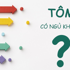 Tôm có ngủ không?