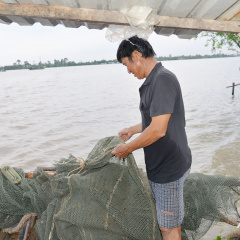 Dòng sông và những phận người