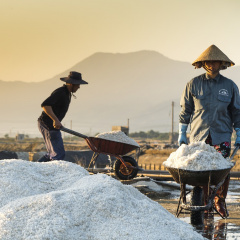 Ban hành Quy chuẩn kỹ thuật quốc gia đối với muối thực phẩm và muối tinh