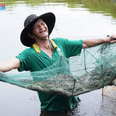 Mô hình nuôi tôm kết hợp với cá, cua biển có hiệu quả kinh tế