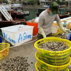 Quảng Ninh: Tập trung hỗ trợ tiêu thụ thủy sản cho người dân
