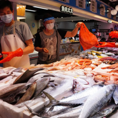 Bùng phát bệnh nhiễm trùng nguy hiểm liên quan đến nguồn cá nước ngọt ở Hong Kong