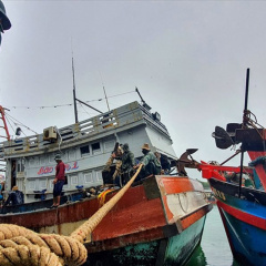 Ninh Thuận: Tàu thuyền hối hả vào cảng tránh áp thấp nhiệt đới