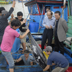 Tàu câu cá ngừ đại dương vẫn bám biển dù hết mùa đánh bắt