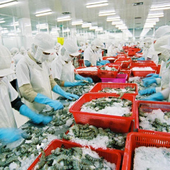 Dự báo xuất khẩu thủy sản sang Trung Quốc giảm 40%