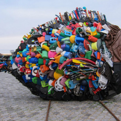 Vi khuẩn ăn nhựa- giải pháp hữu hiệu cho rác thải nhựa toàn cầu