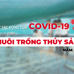 Khảo sát nhận quà: Tác động của Covid-19 đến tình hình NTTS năm 2021