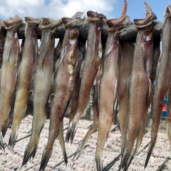Cà Mau: Xuân không trọn vẹn vì vắng cá khoai khô