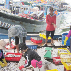 Quảng Ngãi: Không có chuyện làm khó ngư dân