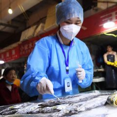 Trung Quốc: Xét nghiệm Covid-19 cho cá gây tranh cãi
