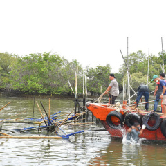 Bà Rịa - Vũng Tàu: Chi hơn 6 tỷ đồng "dọn dẹp" lồng bè trái phép