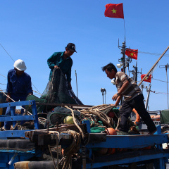 Trung Quốc cấm đánh bắt cá, Bộ NN-PTNT đề nghị hỗ trợ ngư dân bám biển