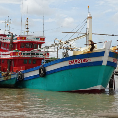 Cà Mau: Miễn 100% cước thuê bao dịch vụ giám sát hành trình tàu cá