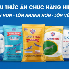 Grobest Việt Nam: Áp dụng tiêu chuẩn quốc tế, hoàn thiện nguồn dinh dưỡng cho con tôm Việt