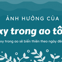 Trong ao tôm, oxy biến động như thế nào và tại sao?