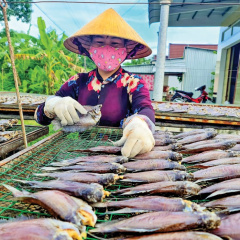 Nâng tầm nhãn hiệu "Cá khô bổi U Minh"