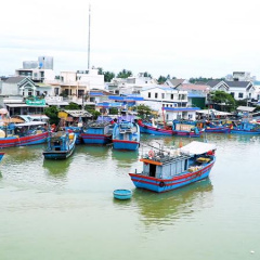 Những "cơn bão" không đến từ biển