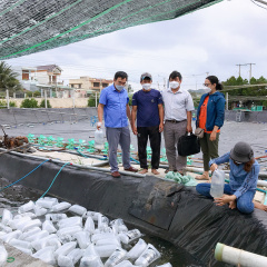 Triển khai công tác đăng ký nuôi thủy sản còn hạn chế