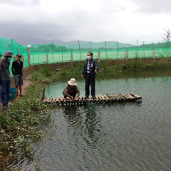 Phát triển nghề nuôi cá nước ngọt tại Bình Định
