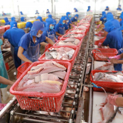 Việt Nam quyết tâm gỡ thẻ vàng thủy sản