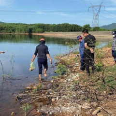 Hà Tĩnh: Công bố nguyên nhân cá chết ở hồ Bộc Nguyên