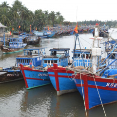 Nghề cá ứng phó với bão lũ