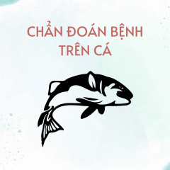 Quan sát bệnh trên cá tôm và chẩn đoán ban đầu